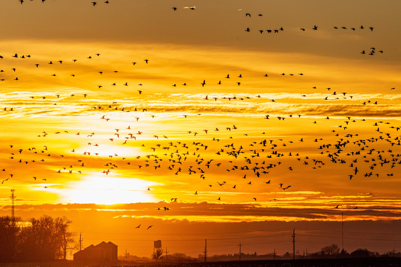 Through the Sun by Andrew March